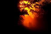 IIP Online Student Photography